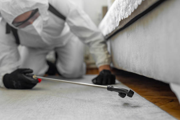 Professional Termite Control technician working in Beacon, NY
